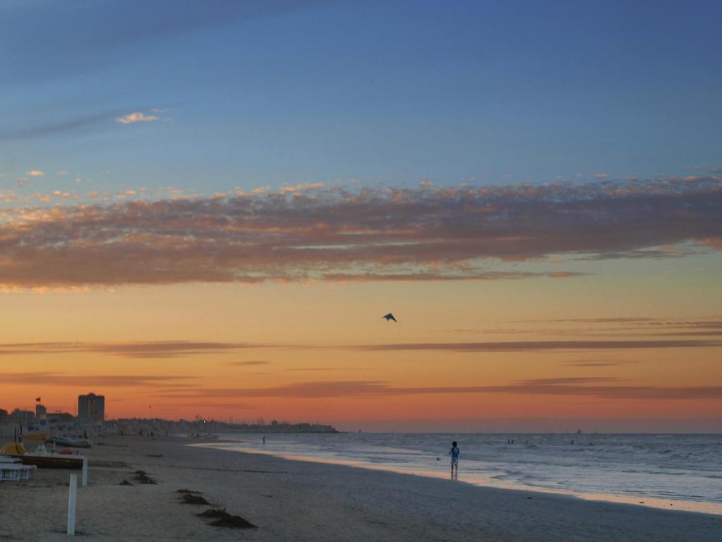 Zani Cervia