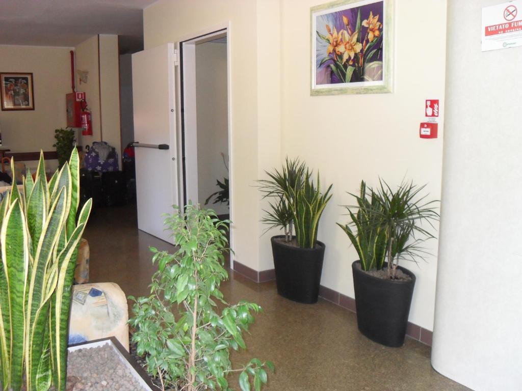 Zani Hotel Cervia